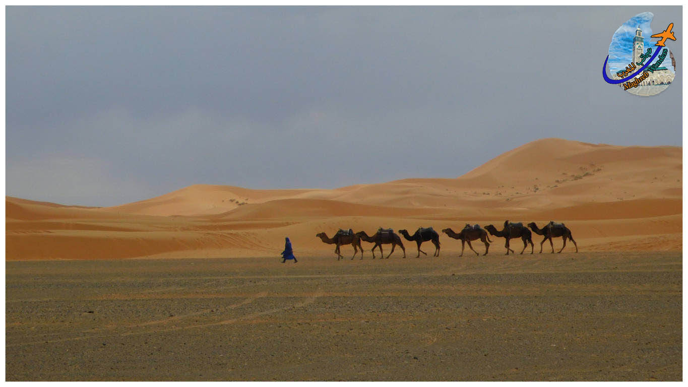 Caminos al Desierto