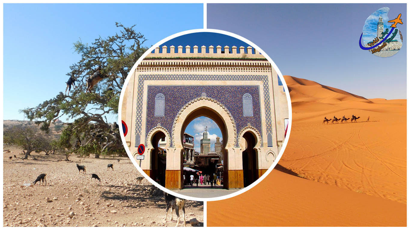 Marruecos en un tour mágico de 8 días desde Fez a Marrakech y desierto