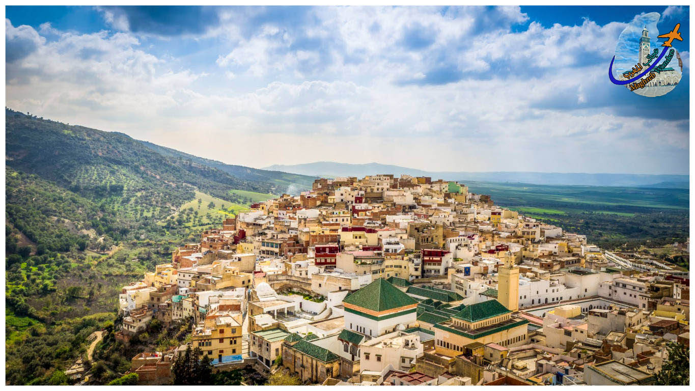 Excursión de un día a Meknes y Volubilis