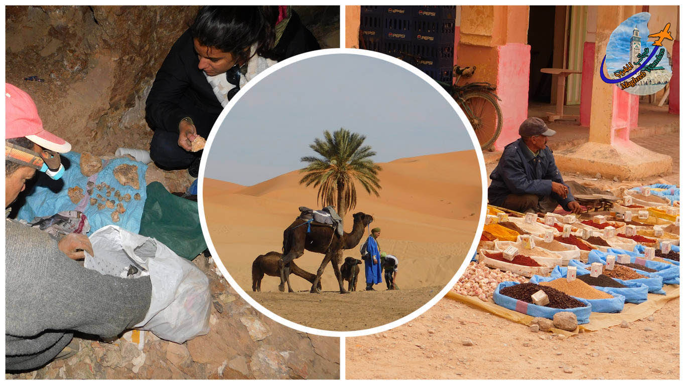 2 days fossil hunting & desert experience from Erfoud / Merzouga / Rissani 