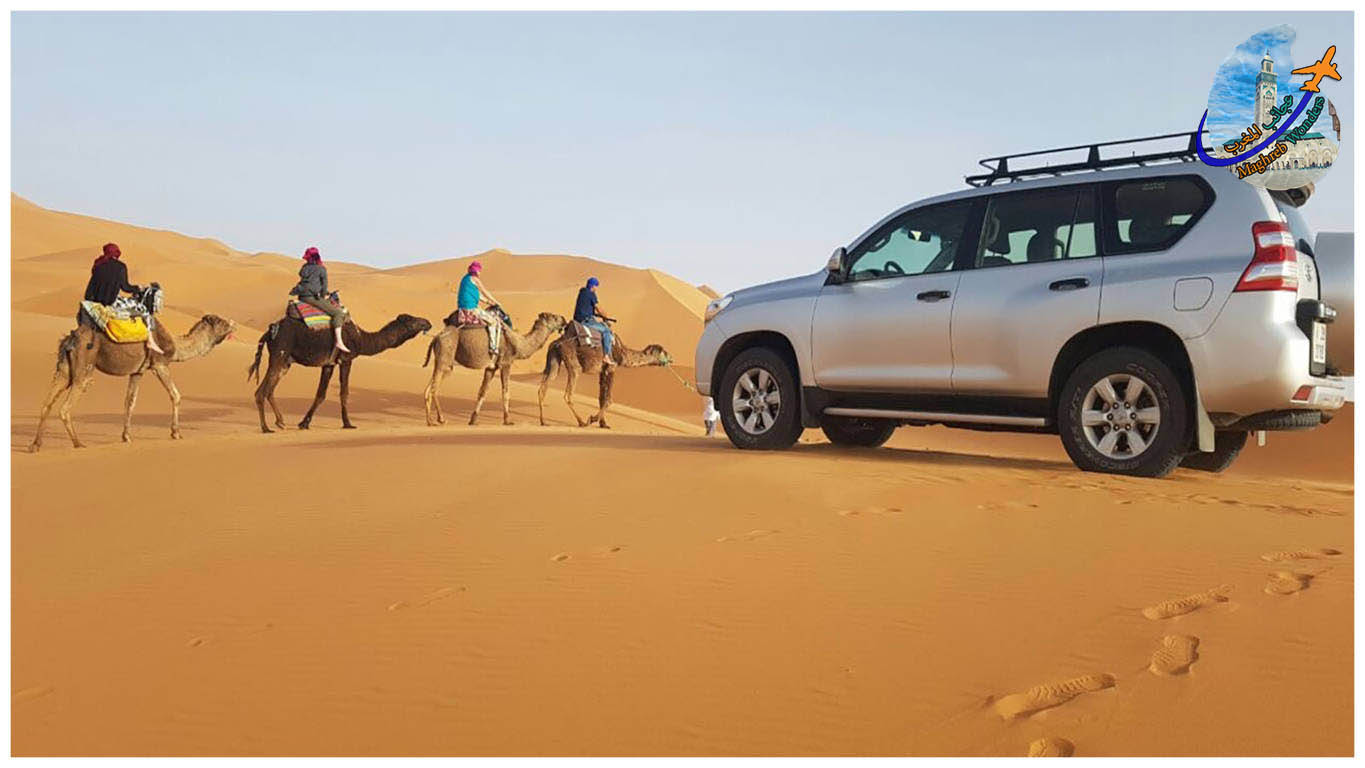 4wd discovery in Sahara desert