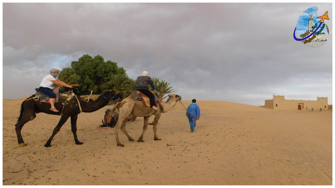  Passeio de camelo e acampamento no deserto