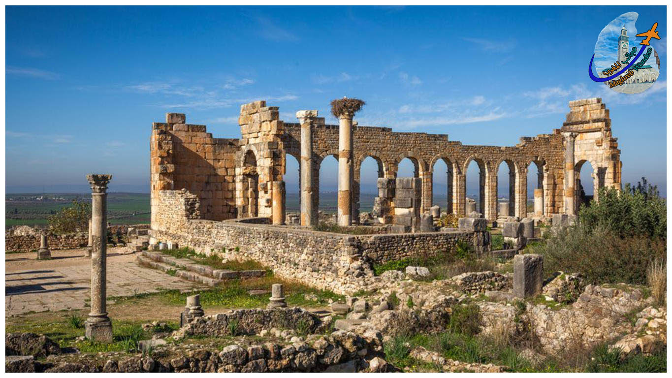 Excursão a Volubilis e Meknes