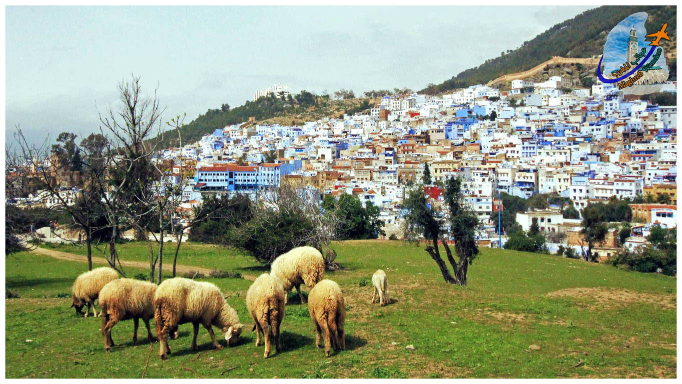 Viagem de um dia a Chefchaouen